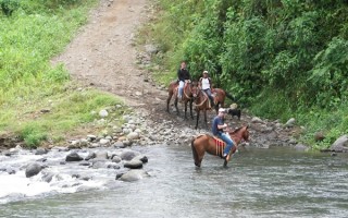 cabalgata
